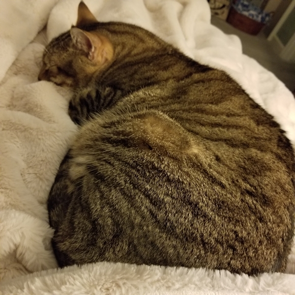 Meet the Posher! 🌸🌸👗👚🧥🥿👠👡👢🌸🌸 - Picture 2 of 2